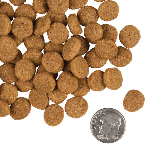 Fromm Gold Large Breed Dry Dog Food - Chicken - 15lb Bag